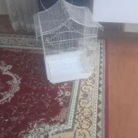 قفس عروس هلندی