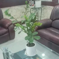 مبل چرمی و میز شیشه ای خارجی