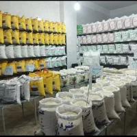 انواع برنج ایرانی