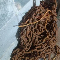 زنجیرچرخ  چرخ22