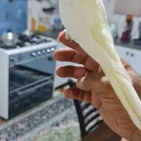 عروس هلندی لوتینو رام دستی|پرنده|شیراز, شهرک گلستان|دیوار