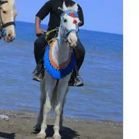 مازندران نور
