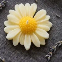 شمع گل بابونه برای گیفت و هدیه