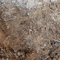 کود گوسفند و بز|خدمات باغبانی و درختکاری|برازجان, |دیوار