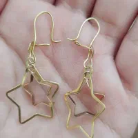 گوشواره