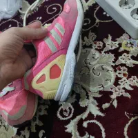 کتونی  zx 8000 اورجینال|کیف، کفش، کمربند|مشکین‌دشت, |دیوار