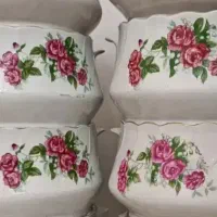 سوپ خوری گل سرخ و مرجان