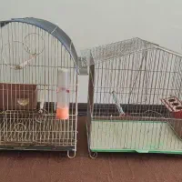 قفسه و دو عدد قفس|کتابخانه، شلف، قفسه‌های دیواری|صدرا-فارس, فاز ۱|دیوار