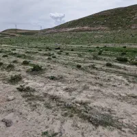 زمین در سعیداباد|فروش دفتر صنعتی، کشاورزی، تجاری|بستان آباد, |دیوار