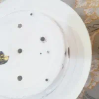 سینگ|هود|مسجد سلیمان, |دیوار