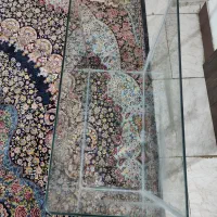 آکواریوم|ماهی|تهران, وردآورد|دیوار