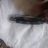 کلکسیونی