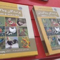 دانشنامه پرندگان و ماکیان|کتاب و مجله ادبی|مشهد, راهنمایی|دیوار