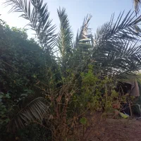 فروش|فروش دفتر صنعتی، کشاورزی، تجاری|اهواز, اسماعیلیه|دیوار