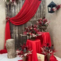 عکاس یلدا ملکه