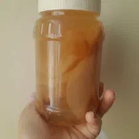 نوشیدنی و قارچ کامبوجا لاغری و چربی سوز