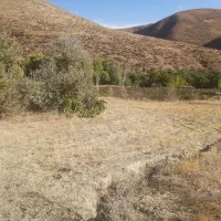 زمین کشاورزی و باغ