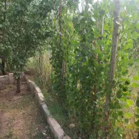 باغ|فروش خانه و ویلا|قره پشتلو, |دیوار