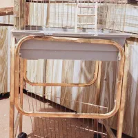 عروس هلندی|پرنده|شاهین‌شهر, اقبال لاهوری|دیوار