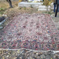 فرش|فرش|ارومیه, |دیوار