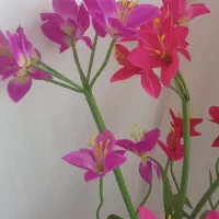 گل مصنوعی|گل مصنوعی|ملایر, |دیوار