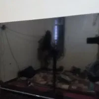 هایسنس50.K4هوشمند|تلویزیون و پروژکتور|بندر گناوه, |دیوار