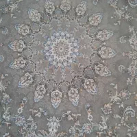 فرش ۶ متری|فرش|قروه, |دیوار