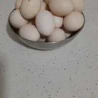 تخم مرغ بومی ارگانیک