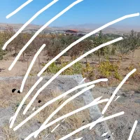 زمین برای باغ و ویلا