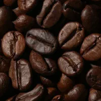 نیازمند یک نیروی خانم در کافه پارک لند