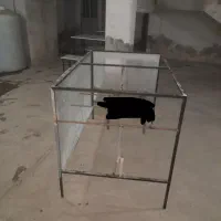 دوعدد میز و چهارتا نیمکت دو نفره و یک میز بزرگ نو|صندلی و نیمکت|تالش, هشتپر|دیوار