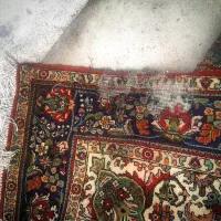 فرش طبیعی|فرش|اردبیل, |دیوار