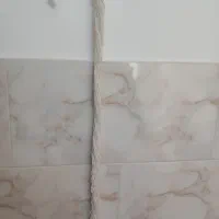 تور کبوتر و غریب گیری