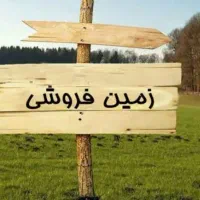 زمین تجاری ۸۰ متری