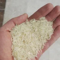 برنج فجر ۹۰ روزه