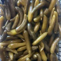 خیارشور