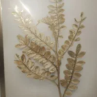 تابلو ۳ تکه|تابلو، نقاشی، عکس|پردیس, فاز ۸|دیوار