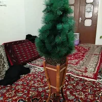 درختچه ی گل مصنوعی کریسمس|گل مصنوعی|سبزوار, امام خمینی (ناوی)|دیوار