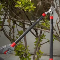 قیچی باغبانی قیچی شمشاد زن دسته تلسکوپی تایوانی