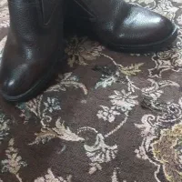 کفش مجلسی