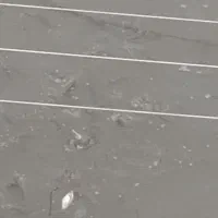 بچه ماهی کپور،،امور|ماهی|سنگر, |دیوار