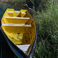 لگن لاور|قایق و سایر وسایل نقلیه|دزفول, |دیوار