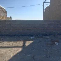 زمین با پروانه و تغییر کاربری قلفتی شمالی بادیوار|فروش زمین و ملک کلنگی|چناران, |دیوار