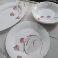 آرکوپال و لیوان