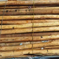 چوب شمارو خریداریم