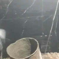 کاشی وسرامیک وتخریب باز سازی|خدمات پیشه و مهارت|رضویه, |دیوار