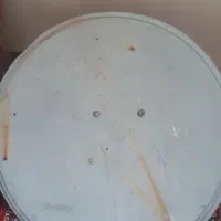 گوسفندبابره ماده معاوضه با بوقلمون