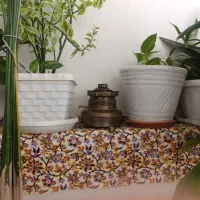 نفت دان سماور|سماور، چای‌ساز، قهوه‌ساز|گلبهار, نوبهار|دیوار