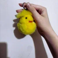 دوست کوچولوی کلیدا|صنایع دستی و سایر لوازم تزئینی|ساوه, |دیوار