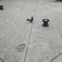 کبوتر اصفهانی